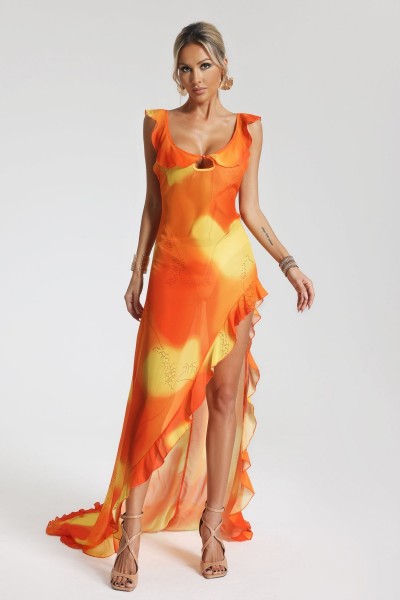 Rochie maxi din plasă cu imprimeu Annette