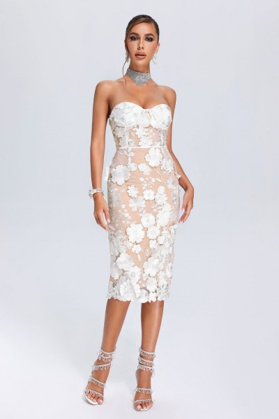 Rochie midi cu tub din dantela ovala