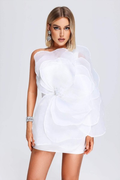 Rochie tub mini din plasă Nydia